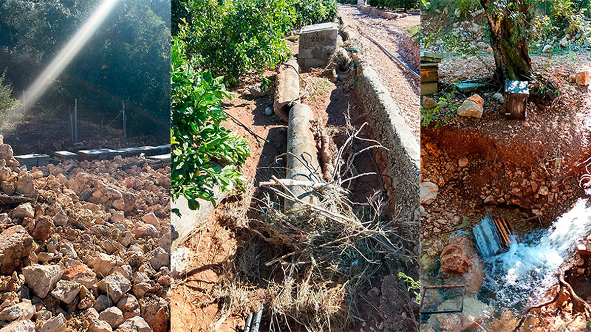 Agricultural damage in Marina Alta due to DANA Adam, warns ASAJA Alicante