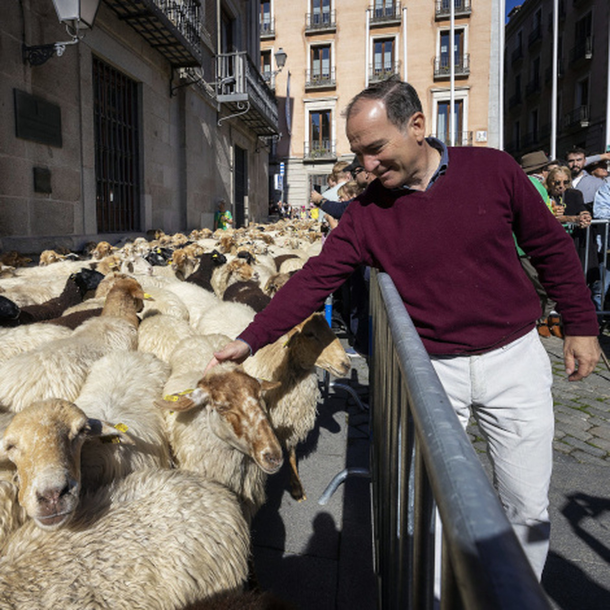 madrileños celebrate traditional transhumance festival to preserve cultural heritage
