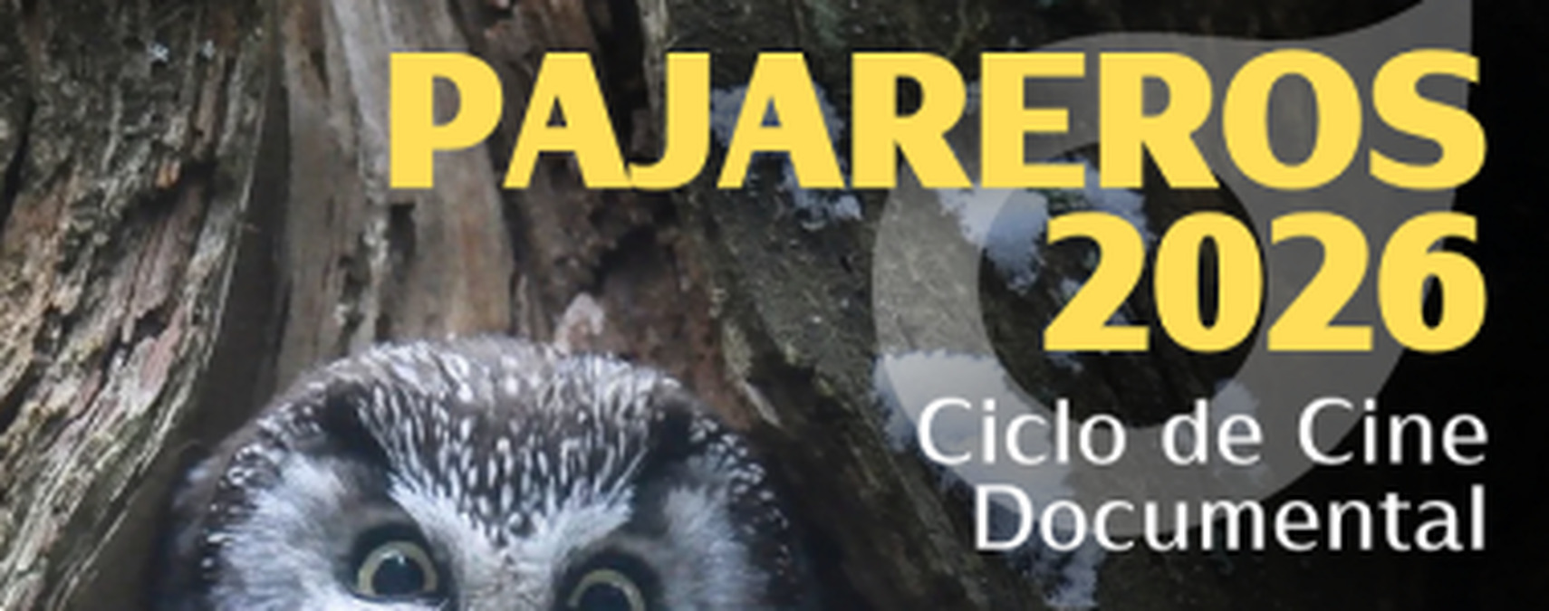 Santander Capital Natural presents the third edition of ‘Pajareros’ focusing on wildlife