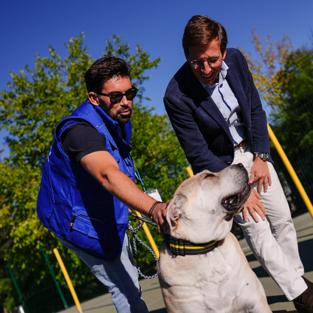 Madrid's Animal Protection Center celebrates 20 years of commitment to animal welfare