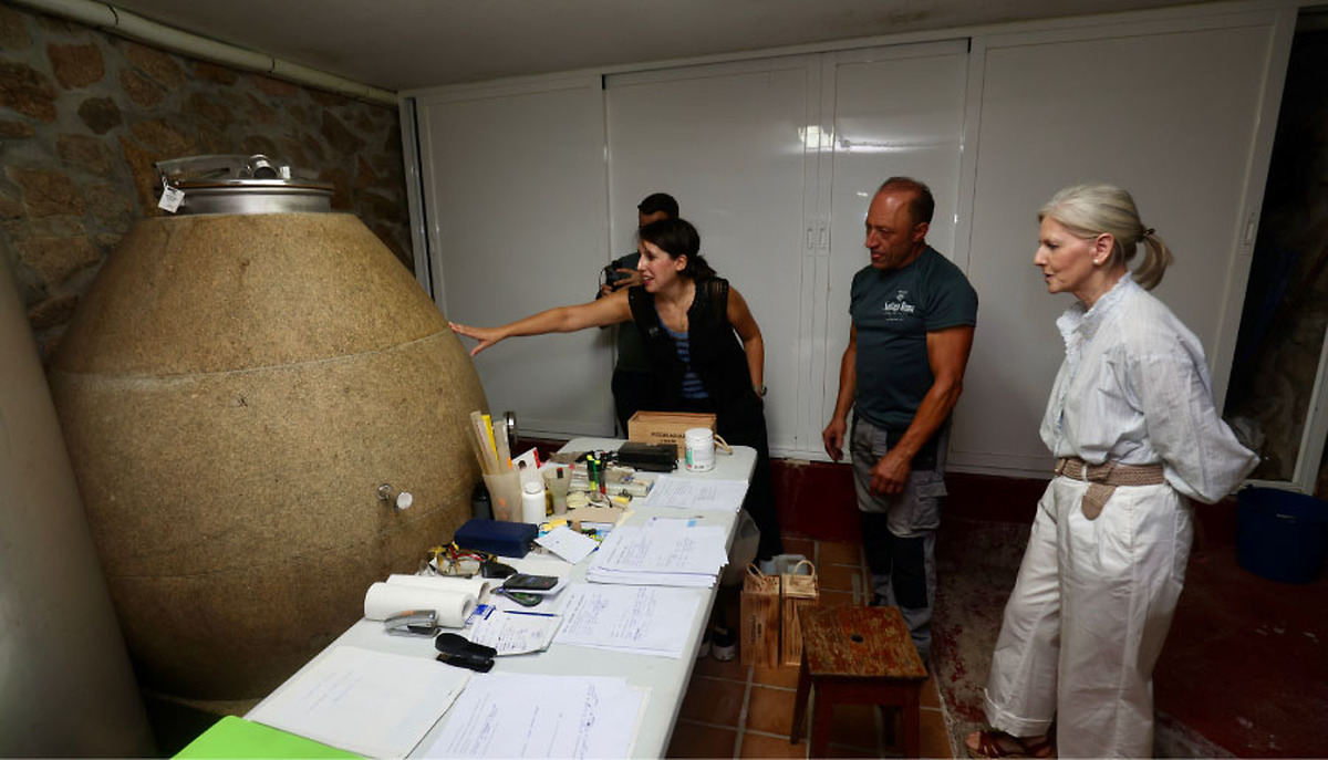 Xunta extends €2 million loan scheme for Galician wineries until 16 December