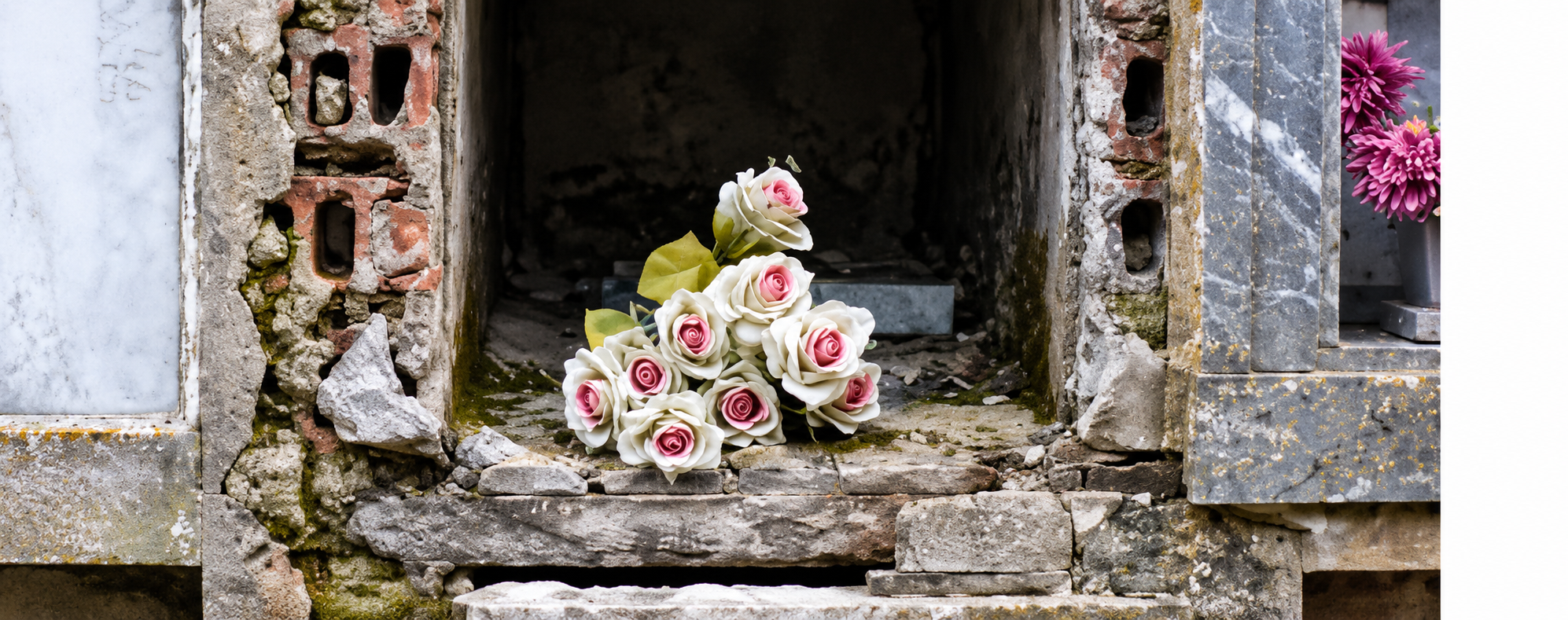 Ciriego cemetery to host guided tours showcasing cultural heritage